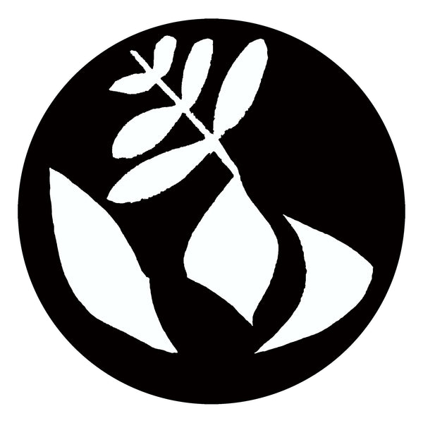 Stephanie Krauss Verdun