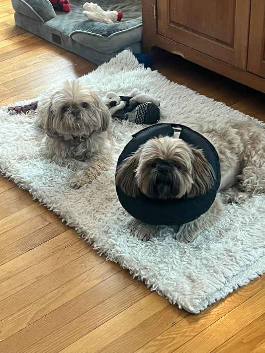 March: A Lesson in Flexibility